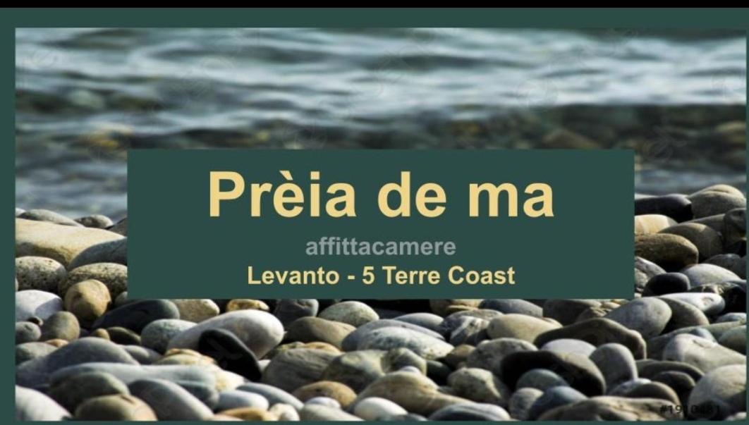 מלון לבנטו Preia De Ma מראה חיצוני תמונה